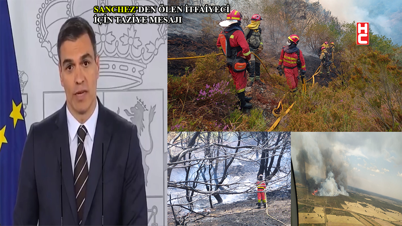 Fransa ve İspanya’da orman yangınlarıyla mücadele devam ediyor!..