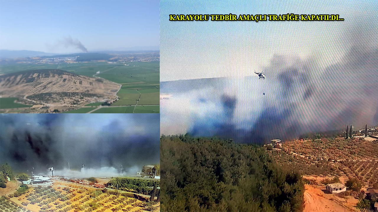 İzmir’de orman yangını!..