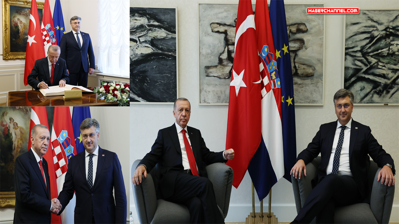 Cumhurbaşkanı Erdoğan, Başbakan Plenkoviç ile görüştü