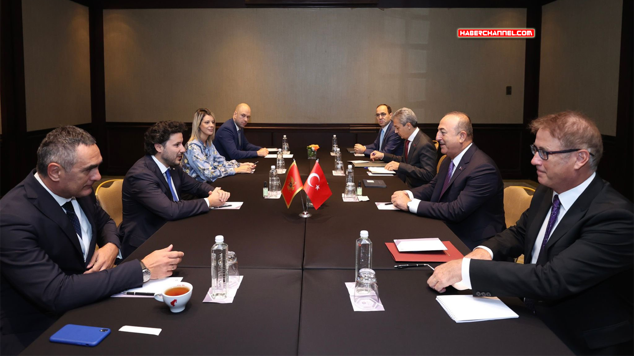 Dışişleri Bakanı Çavuşoğlu, Karadağ Başbakanı Abazovic ile görüştü
