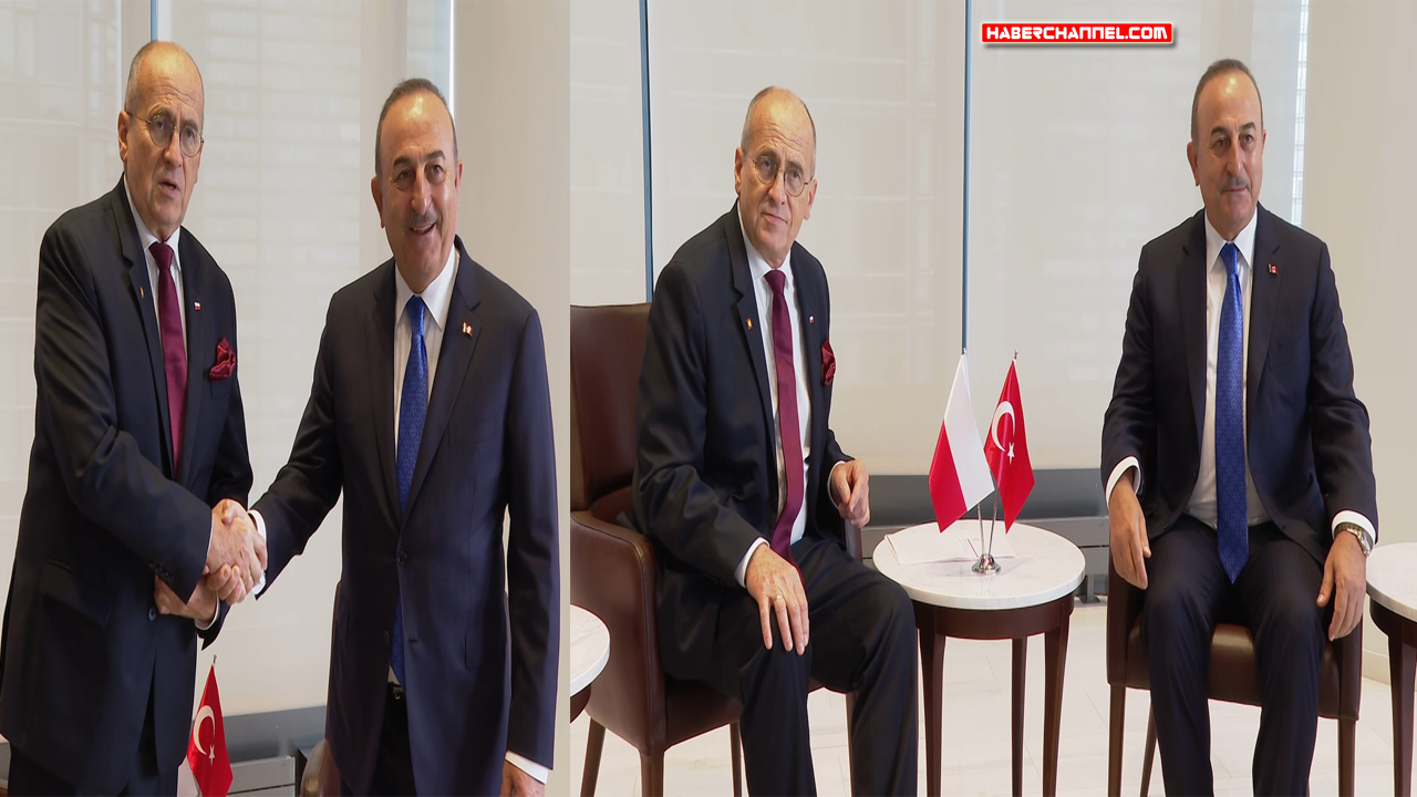 Bakan Çavuşoğlu, Polonya Dışişleri Bakanı Rau ile görüştü