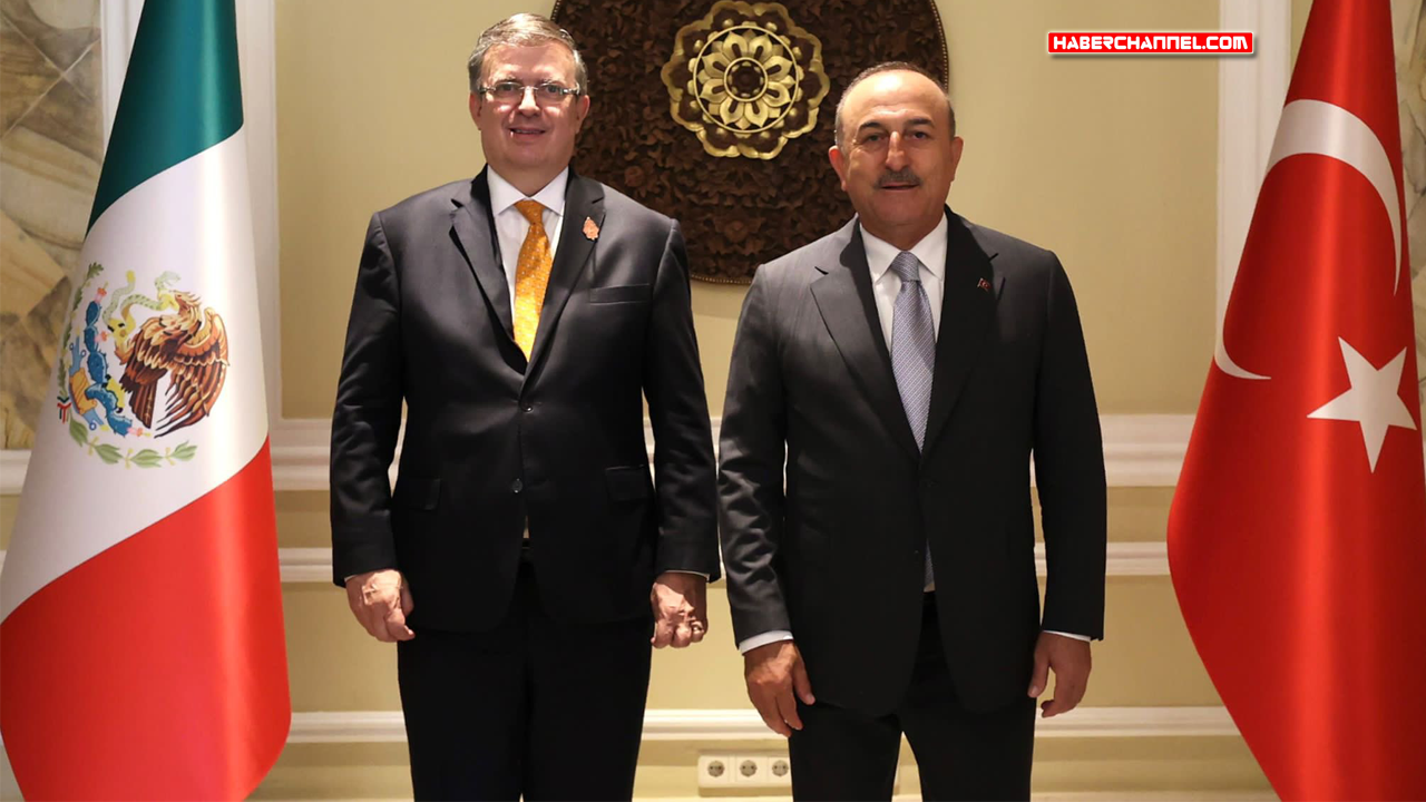 Meksika Dışişleri Bakanı Marcelo Casaubon, Türkiye'ye geliyor