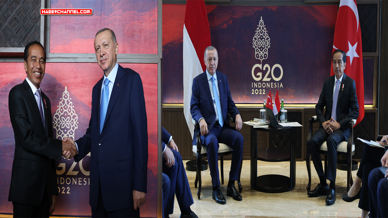 Cumhurbaşkanı Erdoğan, Endonezya Devlet Başkanı Joko Widodo ile görüştü