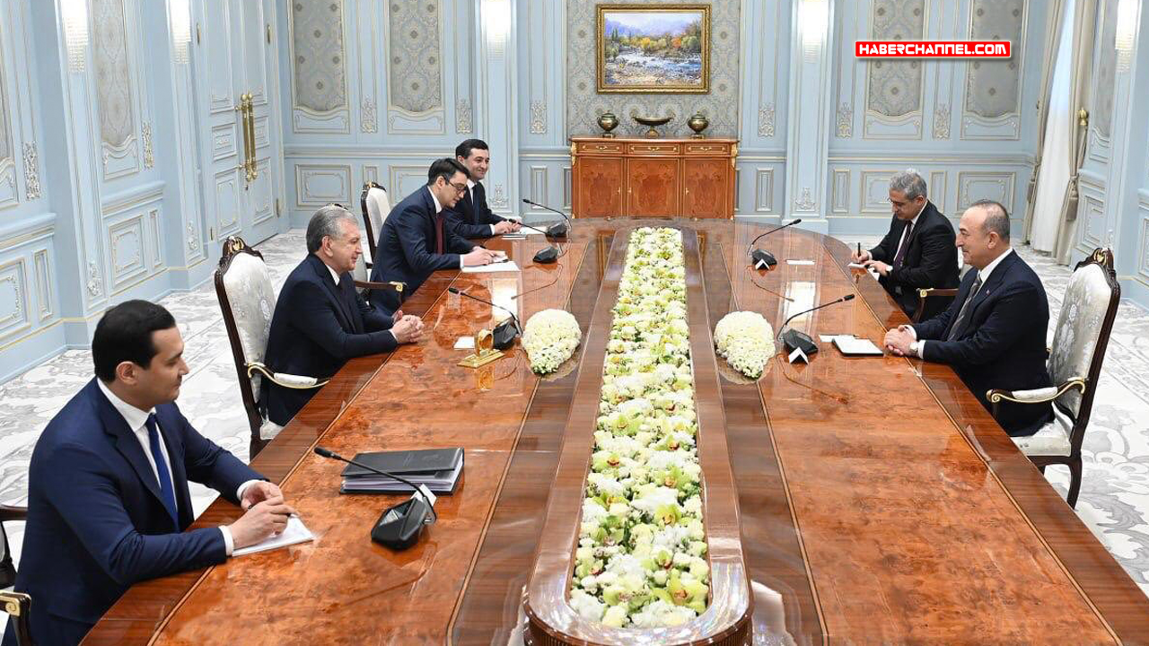 Dışişleri Bakan Çavuşoğlu, Özbekistan Cumhurbaşkanı Mirziyoyev ile görüştü