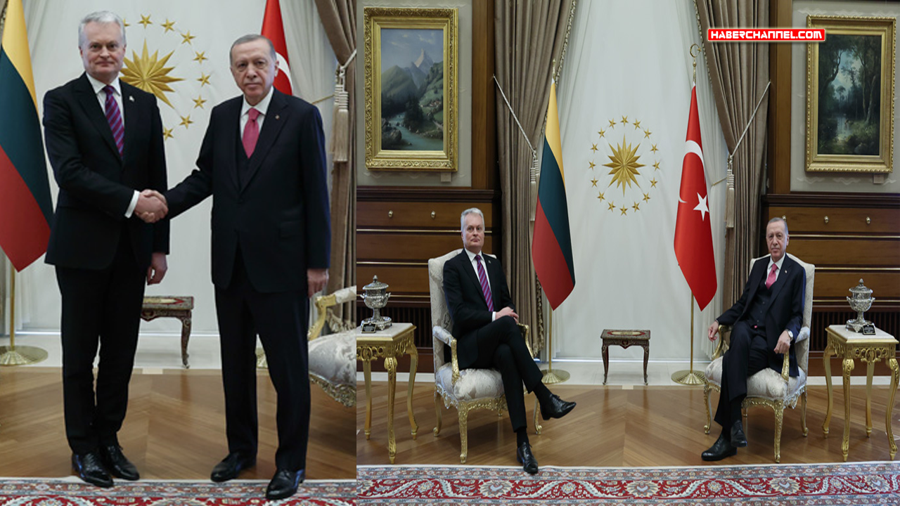 Cumhurbaşkanı Erdoğan, Litvanya Cumhurbaşkanı Nauseda ile görüştü...
