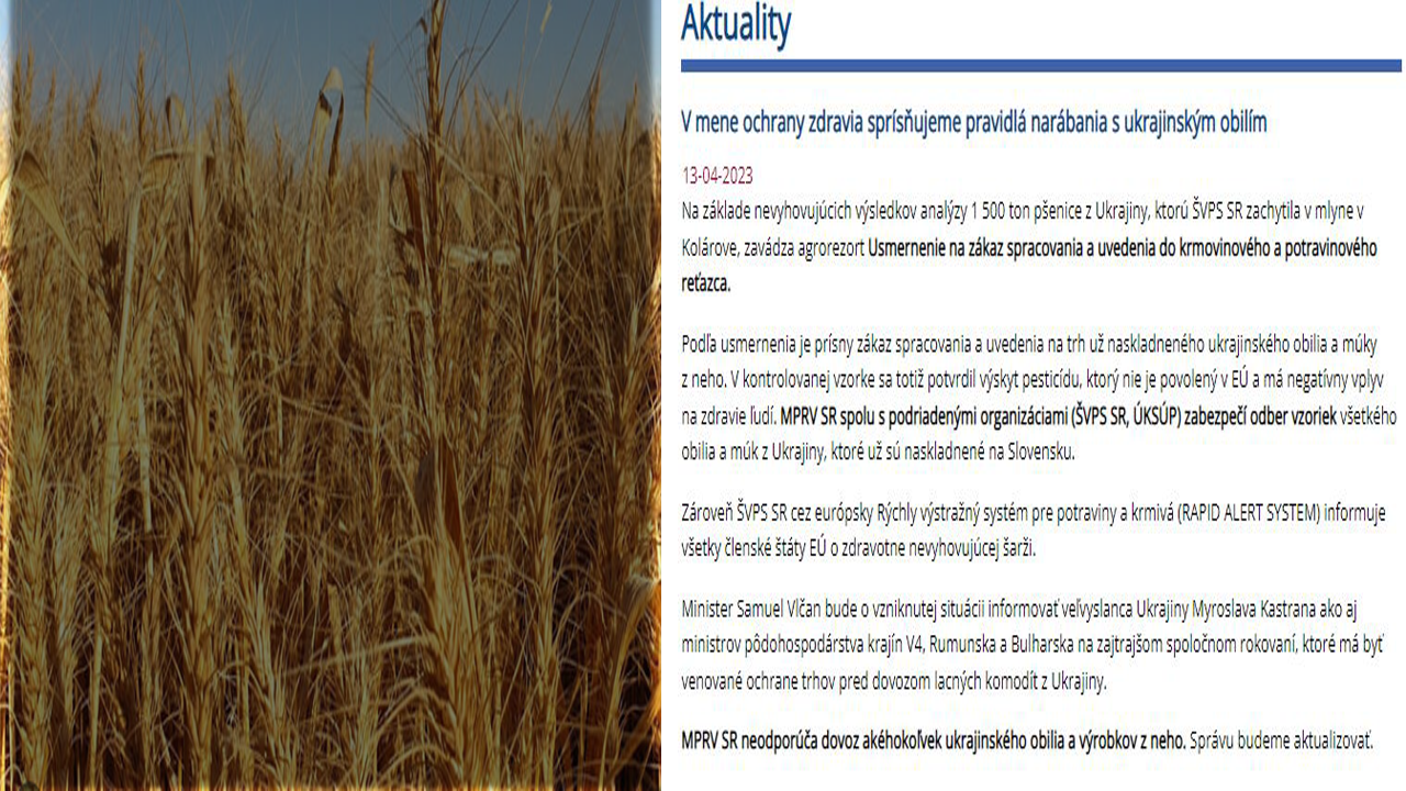 Polonya ve Macaristan’ın ardından Slovakya da Ukrayna tahıl ithalatını durdurdu...