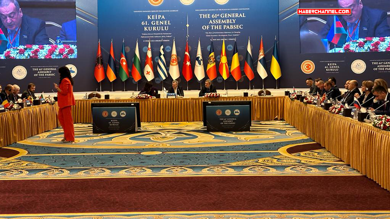 KEİPA oturumunda 'Rusya-Ukrayna', 'Ermenistan-Azerbaycan' gerginliği