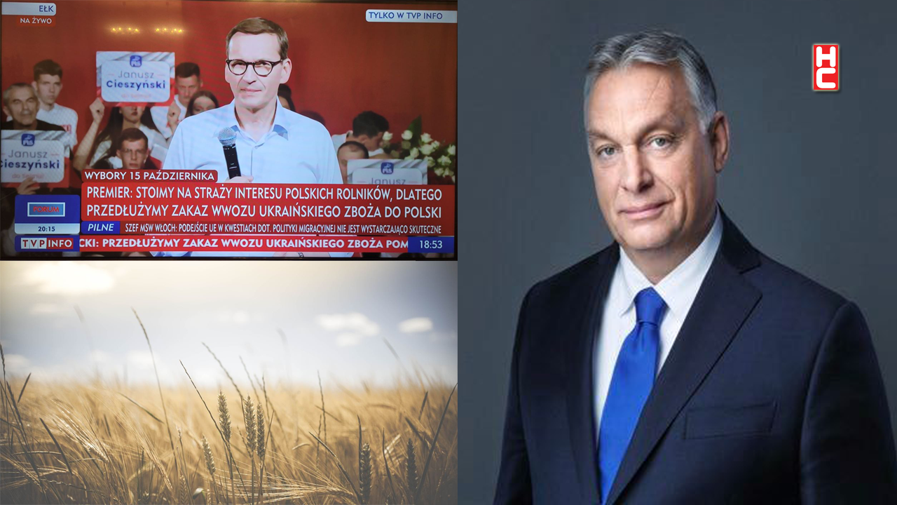 Macaristan, Polonya ve Slovakya, Ukrayna tahıl ihracatı yasağını uzatıyor...