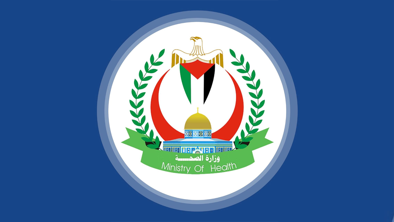 Filistin Sağlık Bakanlığı: "Saldırılarda 24 bin 100 sivil öldü"