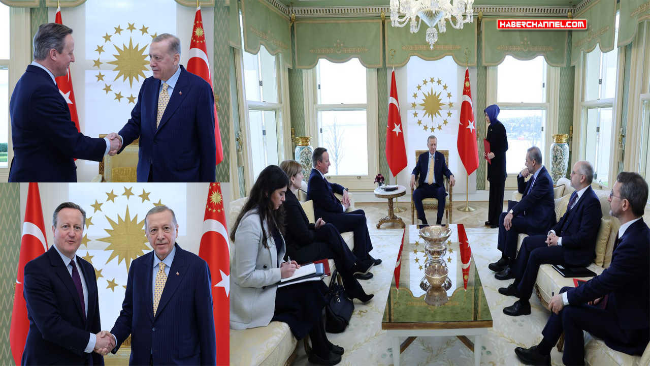Cumhurbaşkanı Erdoğan, İngiltere Dışişleri Bakanı Cameron'u kabul etti