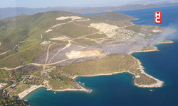 Muğla'da çıkan yangın kontrol altına alındı
