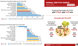 TÜİK: "Tarımsal girdi fiyat endeksi, yıllık yüzde 133,41 arttı"