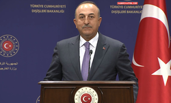 Çavuşoğlu: "Afrika'da Fransa aleyhine tutum varsa biz kışkırttığımız için değil"