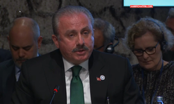 Meclis Başkanı Şentop, Kırım Platformu Birinci Parlamenter Zirvesi’nde konuştu...