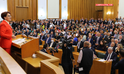 Akşener: "Gelin, yolsuzluğun üzerine birlikte gidelim"