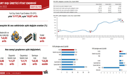 Yurt dışı üretici fiyat endeksi eylülde arttı...