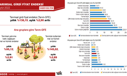 TÜİK: "Tarımsal girdi fiyat endeksi eylülde arttı"