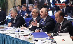 Bakan Varank: "Togg'un 115 tedarikçisinden 86'sı yerli"