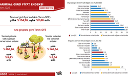 TÜİK: "Tarımsal girdi fiyat endeksi ekimde arttı"