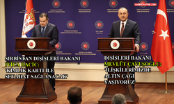 Dışişleri Bakanı Çavuşoğlu, Sırp mevkidaşı Dacic ile ortak basın toplantısı düzenledi