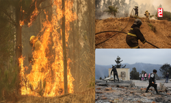 Şili’de orman yangını: "23 ölü, 979 yaralı"