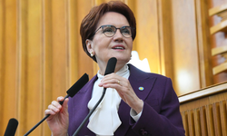 Akşener: "Nevruz, katile özgürlük dilenme günü değildir"