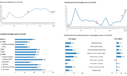 TÜİK, ciro ve perakende satış endekslerini açıkladı...