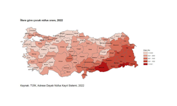 Türkiye nüfusunun yüzde 26,5'i çocuk...