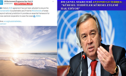 BM, okyanuslarda biyoçeşitliliğin korunmasına yönelik ‘tarihi anlaşmayı’ kabul etti...