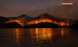 Kanada’daki orman yangınlarının dumanı, ABD’de hava kalitesini düşürdü!..