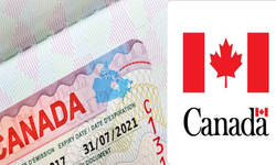 Göçmen kabul edeceğini duyuran Kanada’ya vize başvuru talepleri arttı...
