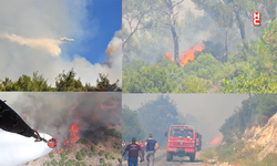Manisa'da orman yangını; Alevlerin yaklaştığı bir mahalle tahliye edildi