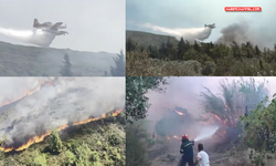 Rodos’ta orman yangınlarıyla mücadele kamerada...