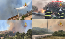 İtalya’nın güneyinde orman yangınları devam ediyor...