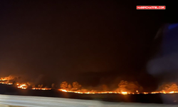 Yunanistan’daki orman yangınlarında 18 kişinin cesedi bulundu...