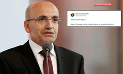 Hazine Bakanı Mehmet Şimşek'ten OVP açıklaması