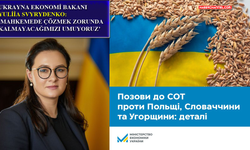 Ukrayna Ekonomi Bakanlığı: "Polonya, Slovakya ve Macaristan’a karşı dava açtık"