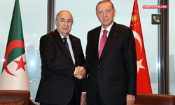 Cumhurbaşkanı Erdoğan, Cezayirli mevkidaşı Abdulmecid Tebbun ile görüştü
