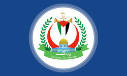 Filistin Sağlık Bakanlığı: "Saldırılarda 24 bin 100 sivil öldü"