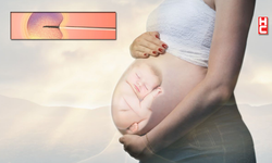 ABD'de embriyoların çocuk sayılması sonrasında 'tüp bebek' çalışmaları durdu