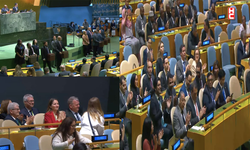 BM Güvenlik Konseyinin yeni geçici üyeleri seçildi...