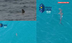İspanya’da köpek balığı paniği: 'Plaj kapatıldı'