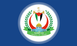 Filistin Sağlık Bakanlığı: "Nusariat kampına saldırıda 274 sivil öldü"