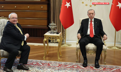 Cumhurbaşkanı Erdoğan, İrlanda Meclis Başkanı Fearghail ile görüştü...