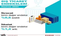 TÜİK: "Dış ticaret haddi haziranda 0,6 puan azaldı"