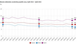 TÜİK: "Eylül ayında işsizlik oranı yüzde 8,6 oldu"