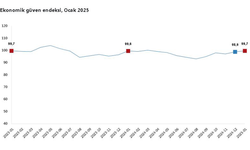 TÜİK: "Ekonomik güven endeksi yüzde 0,8 arttı"