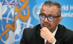 DSÖ-Tedros Ghebreyesus: 'Gazze'deki sağlık ihtiyaçları endişe verici boyutta'