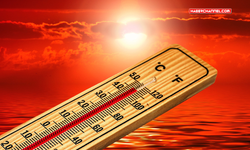 Dünya Meteoroloji Örgütü: 'Gelecek 5 yılda sıcaklıklar rekor seviyelerde kalacak'