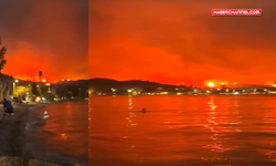 Yunanistan'da orman yangınları devam ediyor...